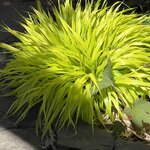 Photo taken by Rosemary S