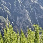 Photo taken by Alpa M