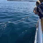 Photo taken by Martin L