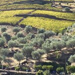 Photo taken by David N