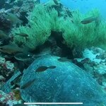 Photo taken by Stephanie A