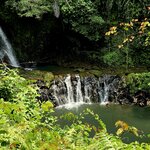 Photo taken by Nancy P