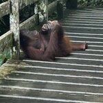 Photo taken by Rob C