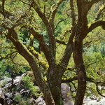 Photo taken by Mike T