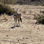 Photo taken by Michael G