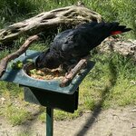 Photo taken by Susan C