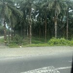 Photo taken by Barb S