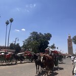 Photo taken by Vivianh H