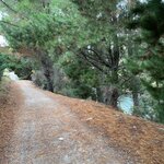 Photo taken by Laura H