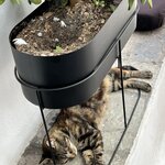 Photo taken by Amanda F