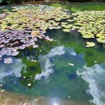 Photo taken by Mike T