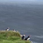 Photo taken by Jennifer M