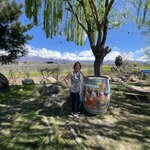 Photo taken by stephanie b