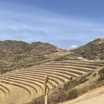 Photo taken by Shanthi V