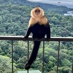 Photo taken by Samantha S