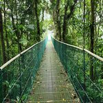 Photo taken by Tenley G