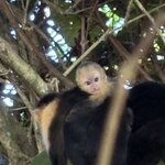 Photo taken by Ora Y