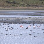 Photo taken by Enliu Y