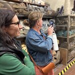 Photo taken by Joyce L