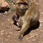 Photo taken by Tom B