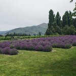 Photo taken by kevin c