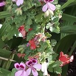 Photo taken by Mike T