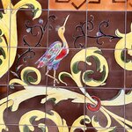 Photo taken by Michael M