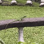 Photo taken by Alexia M