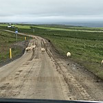 Photo taken by Debbie W