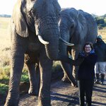 Photo taken by William R