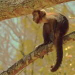 Photo taken by Dennis H