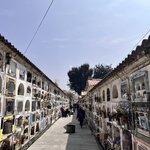 Photo taken by Shirley S