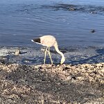 Photo taken by John L