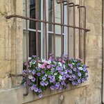 Photo taken by Lyon K