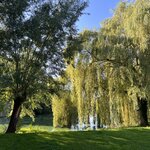 Photo taken by Gail K