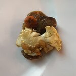 Photo taken by Mary A