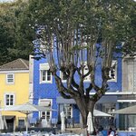 Photo taken by Vicki V