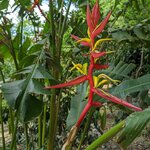 Photo taken by Lana P