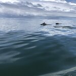 Photo taken by Anna L