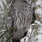 Photo taken by Moses K