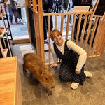 Photo taken by Ray S