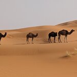 Photo taken by Beth M