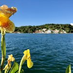 Flores | Photo taken by BRAD K