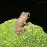 Photo taken by Narasimhachar P