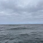 Photo taken by Amy W