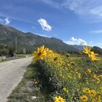 Photo taken by Julie M