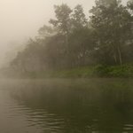 Photo taken by Arpita D