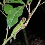 Photo taken by Mark A