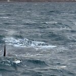 Photo taken by Lynn H