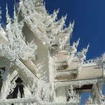 Photo taken by Bianca C